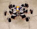 Нашествие роботов-инсектоморфов в Политехническом